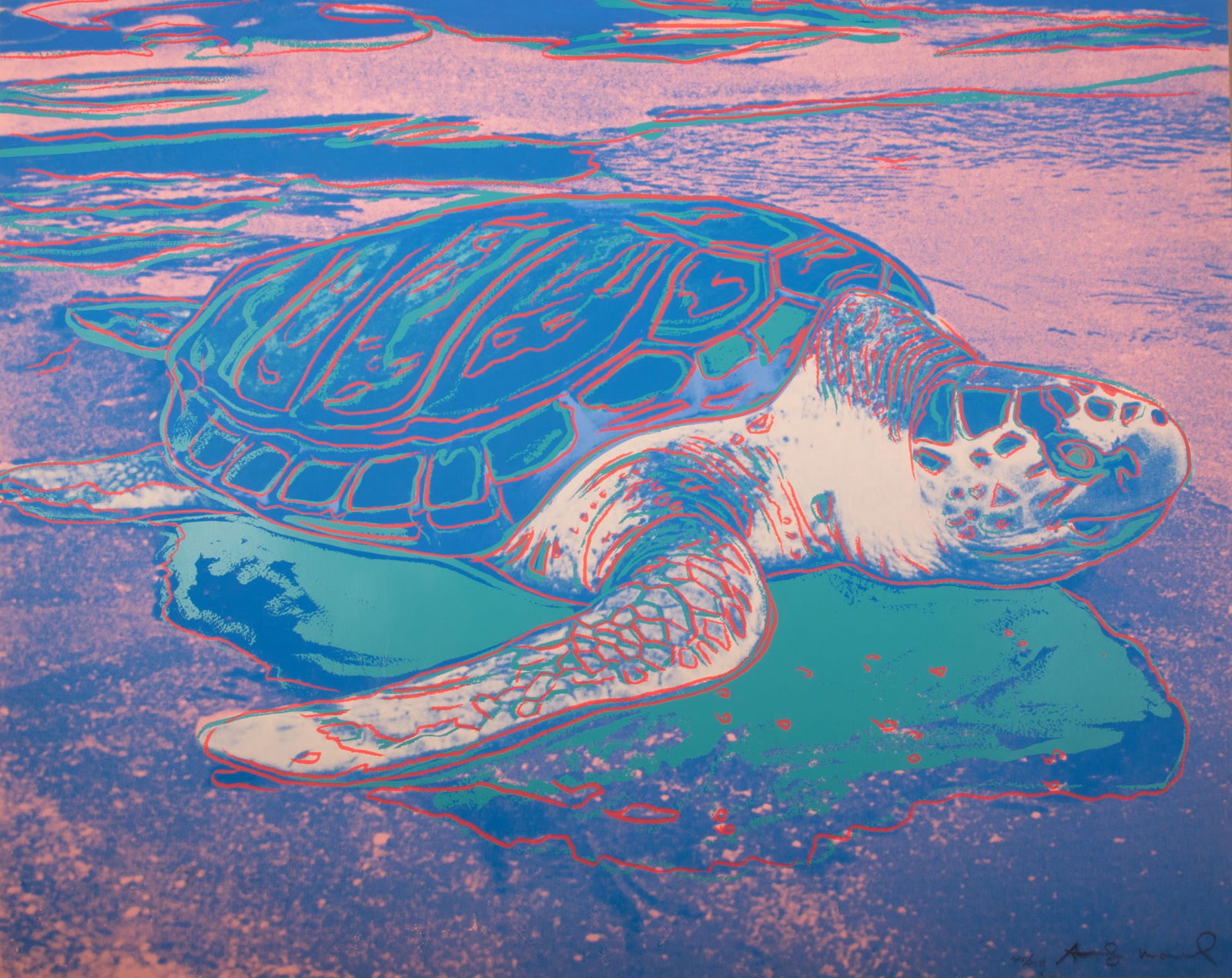 Turtle, 1985